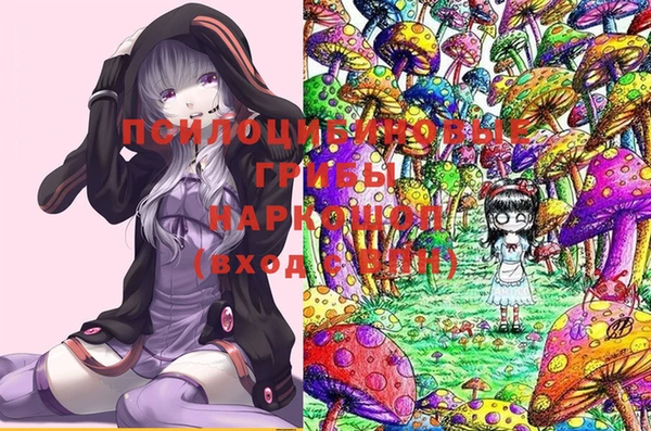 apvp Баксан