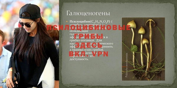 apvp Баксан