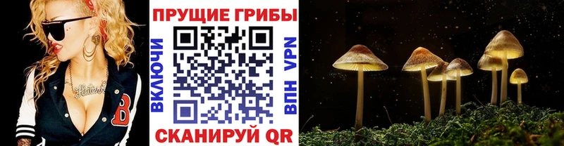 Псилоцибиновые грибы MAGIC MUSHROOMS Олонец